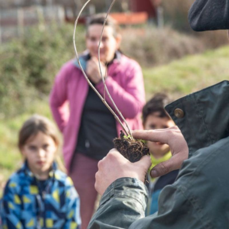 © association Paysarbre