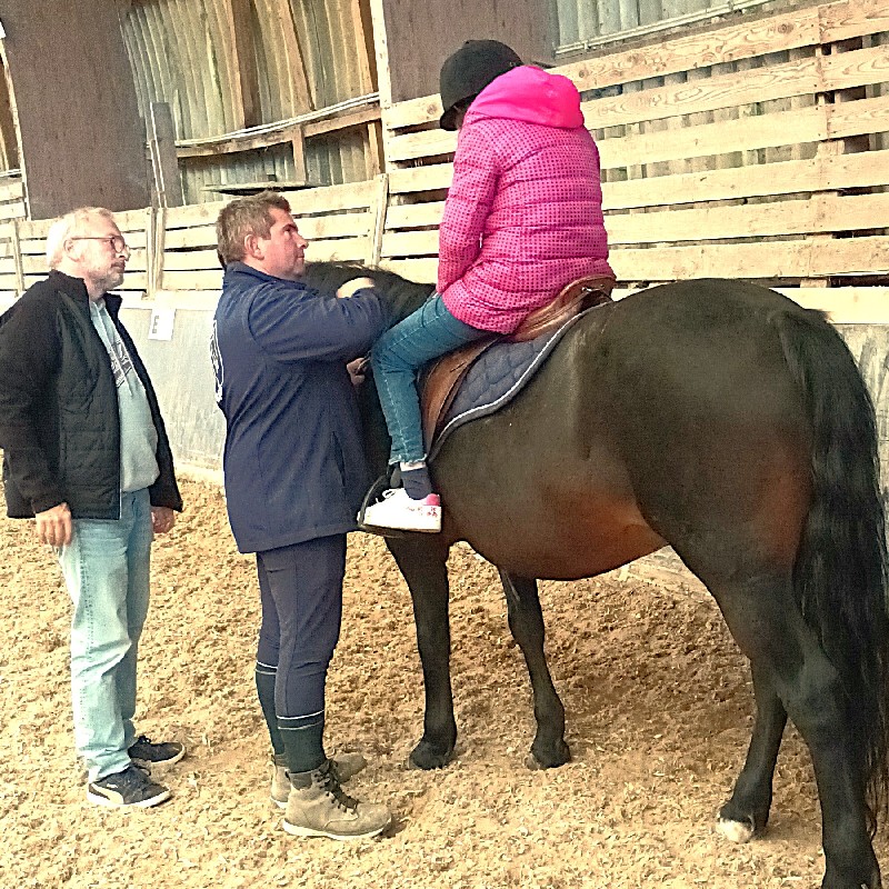 equithérapie Alsace @Fondation des hôpitaux