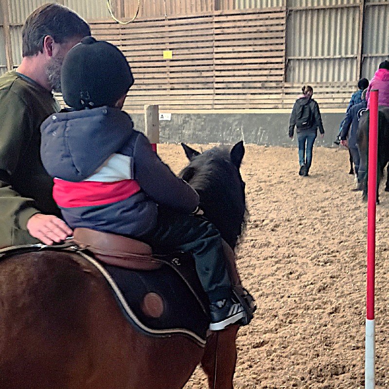 equithérapie Alsace @Fondation des hôpitaux