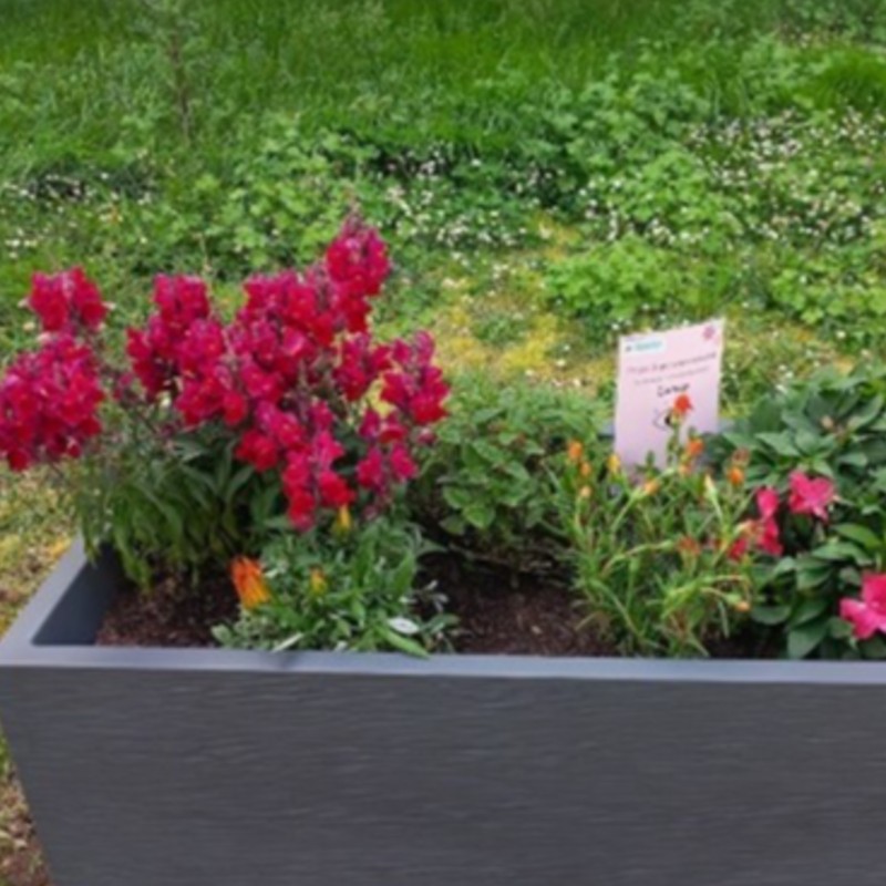 IMG16
