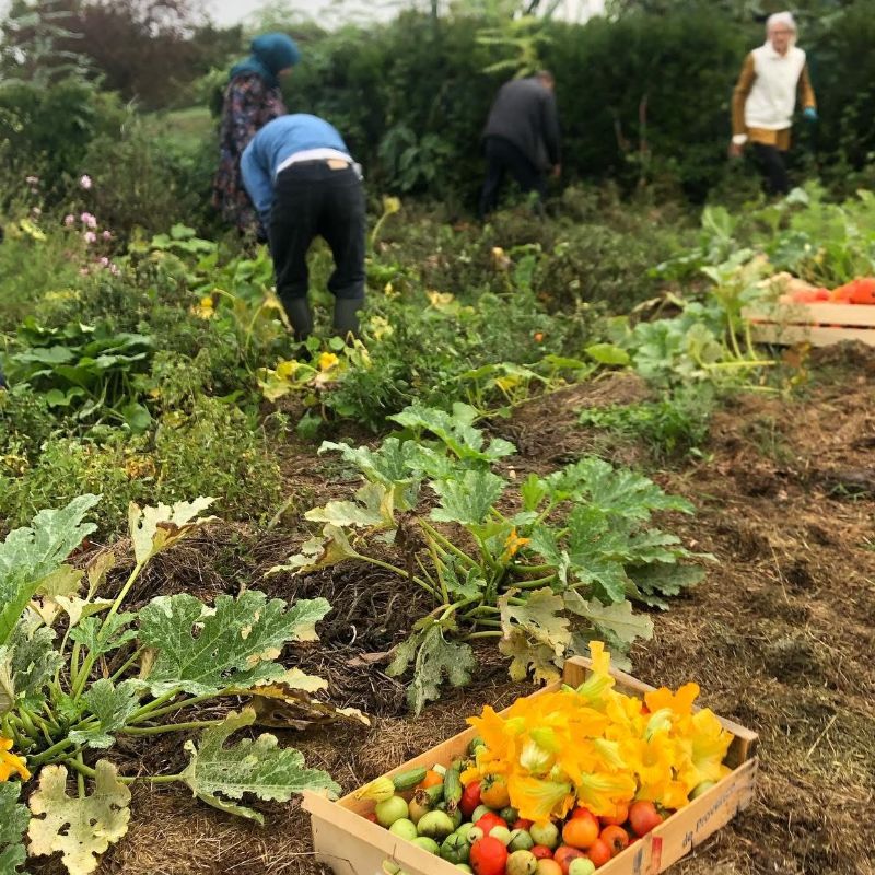 Le Champ des Possibles