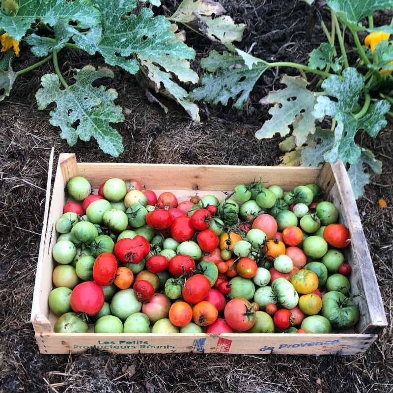 Le Champ des Possibles