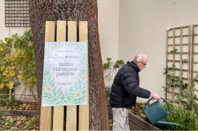 LM78750 (LES MIAMIES)