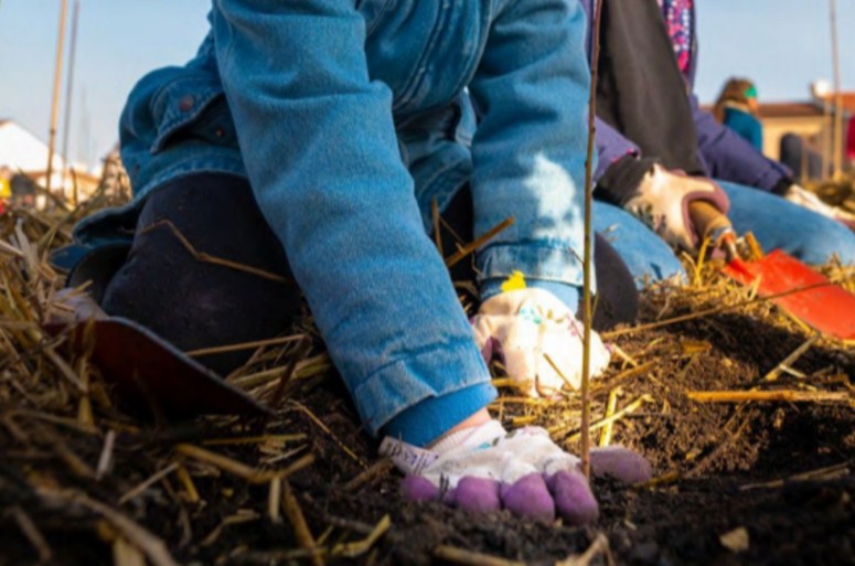 MiniBigForest Normandie