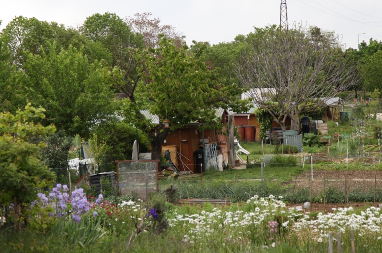 Fédération Nationale des Jardins Familiaux et Collectifs (FNJFC)