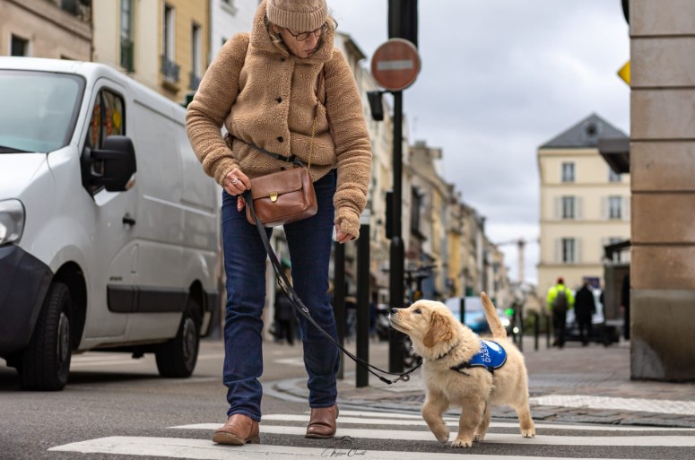 Association Une Patte Tendue