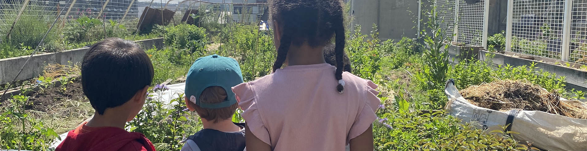 Association Française d'Agriculture Urbaine Professionnelle