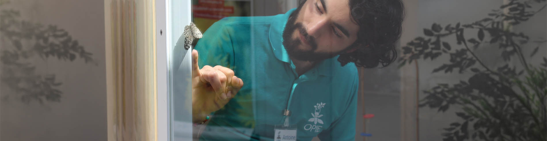 Office Pour les Insectes et leur Environnement (OPIE)